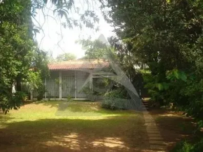 Imóvel Comercial com 3 Quartos à venda, 389m² no Nova Campinas, Campinas