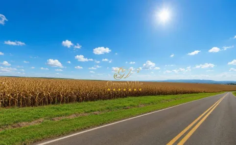 Fazenda/Sítio com 4 Quartos à venda, 24200000m² no Área Rural de Ponta Grossa, Ponta Grossa