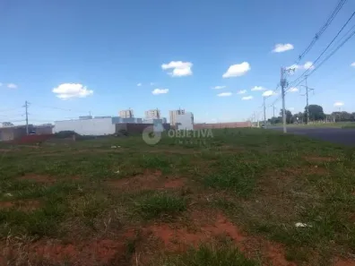 Lote/Terreno para alugar, 1200m² no Residencial Lago Azul, Uberlândia