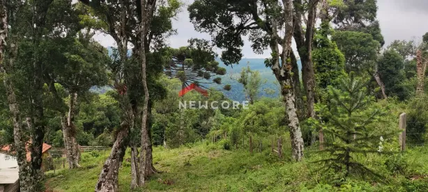Lote/Terreno à venda, 1600m² no Centro, São Francisco de Paula