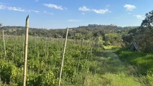 Fazenda/Sítio com 3 Quartos à venda, 49780m² no Éden, Sorocaba