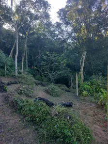 Lote/Terreno à venda, 372m² no Suíssa, Ribeirão Pires