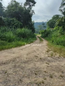 Lote/Terreno à venda, 1645m² no São Pedro, Guabiruba