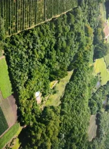 Fazenda/Sítio à venda, 71580m² no Ana Rech, Caxias do Sul