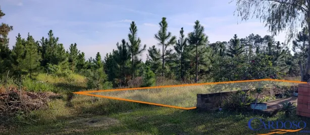 Lote/Terreno à venda, 316m² no Rondinha Nova, Arroio do Sal