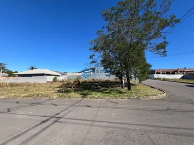 Lote/Terreno à venda, 345m² no Nossa Senhora das Graças, Caxias do Sul