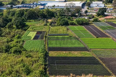 Lote/Terreno à venda, 27273m² no Fontes, Arujá
