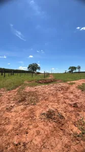 Fazenda/Sítio com 2 Quartos à venda, 242000m² no Área Rural de Nipoã, Nipoã