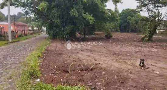 Lote/Terreno à venda, 3895m² no Arroio da Manteiga, São Leopoldo