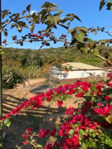 Fazenda/Sítio com 7 Quartos à venda, 380000m² no Soares, Jarinu