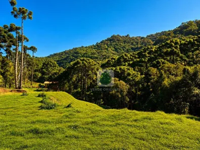 Lote/Terreno à venda, 2800m² no Campestre, Gonçalves