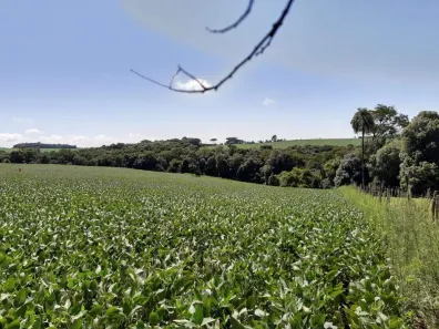 Fazenda/Sítio com 1 Quarto à venda, 5000m² no Centro, Passo Fundo