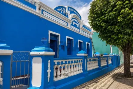 Fazenda/Sítio com 8 Quartos à venda, 300m² no , Martins