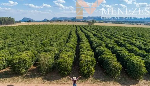 Fazenda/Sítio com 1 Quarto à venda, 200000m² no CENTRO, Pedregulho