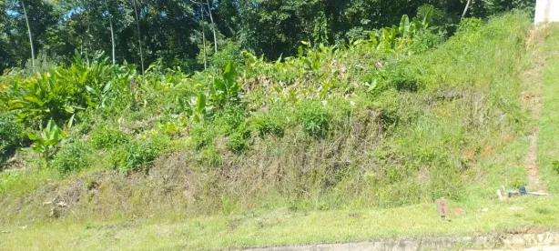 Lote/Terreno à venda, 443m² no Santa Barbára, Antônio Carlos