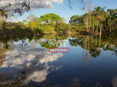 Fazenda/Sítio à venda, 500m² no , Amaralina