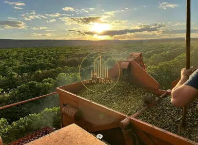 Fazenda/Sítio com 5 Quartos à venda, 800m² no Centro, Montes Claros