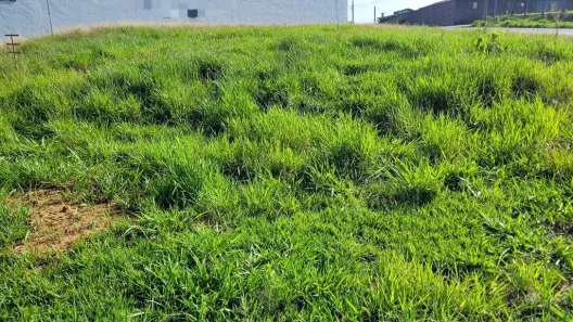 Lote/Terreno à venda, 645m² no Jardim Residencial Campo Novo, Limeira