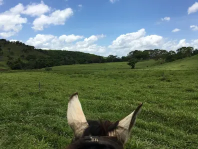Fazenda/Sítio à venda, 4080000m² no , Itapetinga