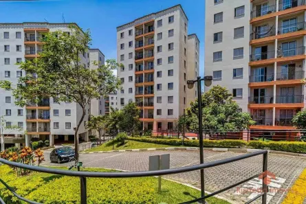 Apartamento com 2 Quartos para alugar, 58m² no Rio Pequeno, São Paulo