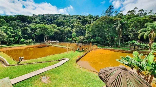 Fazenda/Sítio com 8 Quartos à venda, 2000m² no Santa Isabel, Santa Isabel