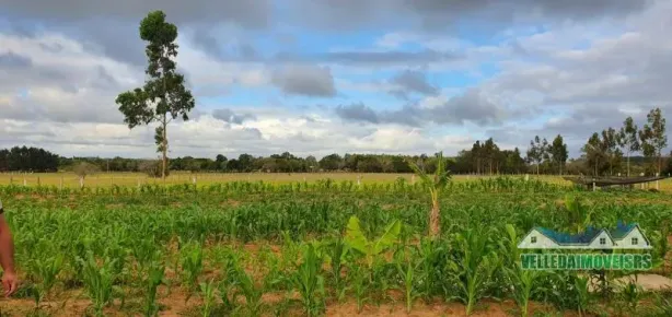 Fazenda/Sítio com 4 Quartos à venda, 20000m² no Área Rural de Águas Claras, Viamão