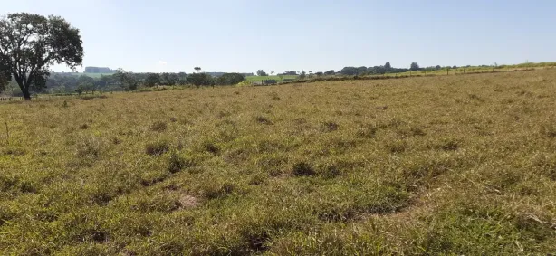 Fazenda/Sítio com 1 Quarto à venda, 54450m² no , Cajuru