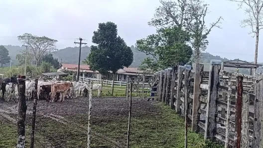 Fazenda/Sítio com 3 Quartos à venda, 10640000m² no , Santa Luzia
