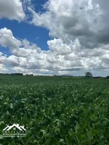 Lote/Terreno à venda, 20000m² no Área Rural de Limeira, Limeira