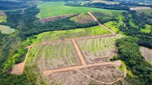 Lote/Terreno à venda, 20000m² no , Itatiaiuçu
