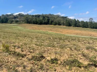 Lote/Terreno à venda, 500m² no Santana, Cotia