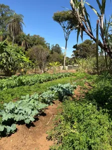 Lote/Terreno à venda, 11800m² no Manoa, Sete Lagoas