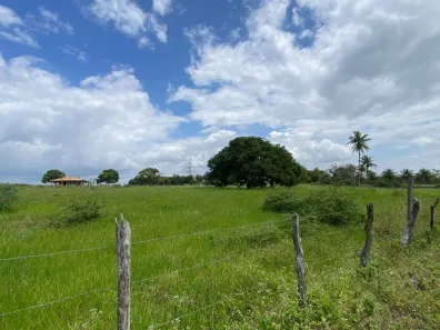 Lote/Terreno à venda, 43560m² no Área Rural de Itabaiana, Itabaiana