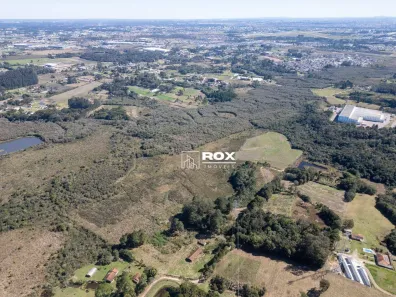 Lote/Terreno à venda, 268837m² no Roseira de São Sebastião, São José dos Pinhais