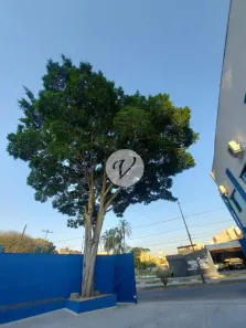 Galpão/Depósito/Armazém para alugar, 2000m² no Bangú, Santo André