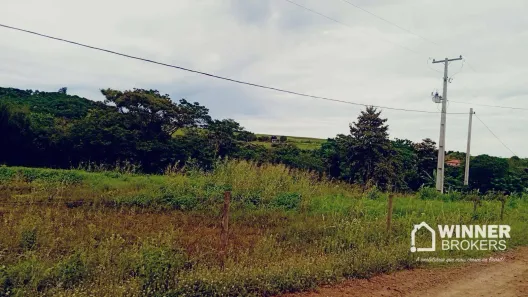 Fazenda/Sítio à venda, 2800m² no , Paiçandu