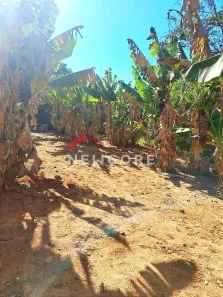 Fazenda/Sítio com 2 Quartos à venda, 80m² no Estância Balneária Águas Virtuosas, Bauru