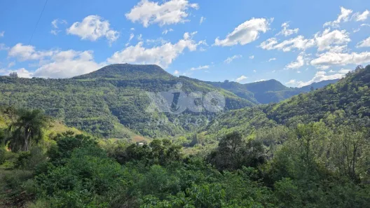 Fazenda/Sítio com 1 Quarto à venda, 5000m² no Vale do Rio Caí, Nova Petrópolis