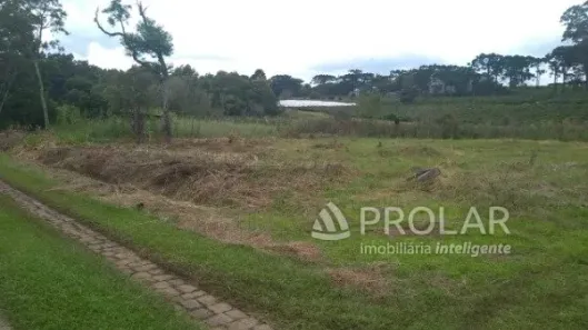 Lote/Terreno à venda, 4986m² no Santa Catarina, Caxias do Sul