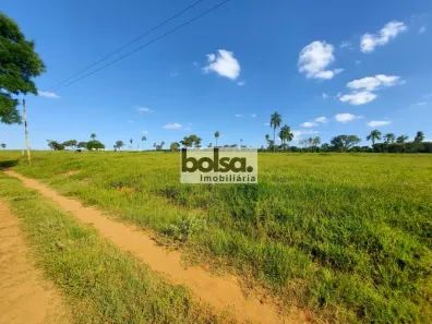 Fazenda/Sítio à venda, 24200m² no Quilombo, Iacanga