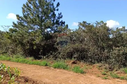 Fazenda/Sítio à venda, 194098m² no , Romaria