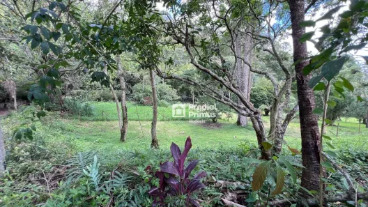 Lote/Terreno à venda, 600m² no Varginha, Nova Friburgo