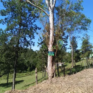 Lote/Terreno à venda, 1384m² no Veraneio Ijal, Jacareí