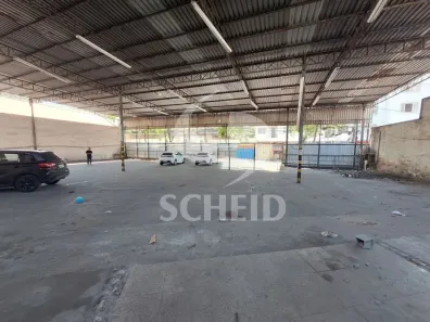 Galpão/Depósito/Armazém para alugar, 1150m² no Cambuci, São Paulo