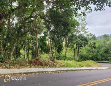 Lote/Terreno à venda, 502m² no Passo Manso, Blumenau