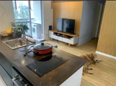 Apartamento com 1 Quarto à venda, 51m² no Parque Reboucas, São Paulo