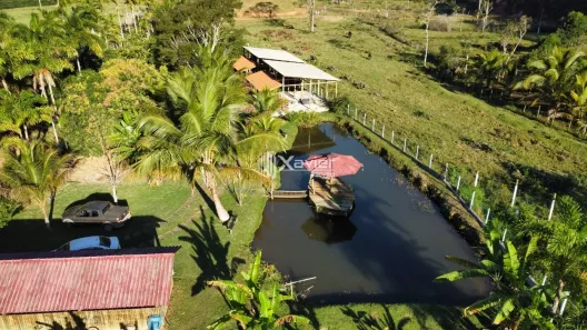 Fazenda/Sítio com 3 Quartos à venda, 10000m² no Buenos Aires, Guarapari