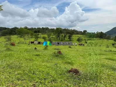 Fazenda/Sítio com 1 Quarto à venda, 112m² no , Passa Tempo