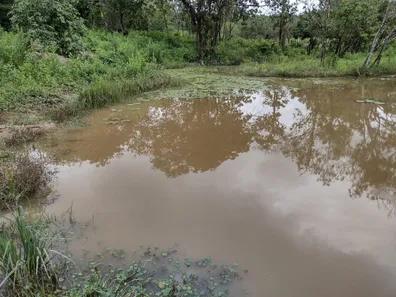 Lote/Terreno à venda, 20000m² no , Fortuna de Minas