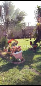 Fazenda/Sítio com 3 Quartos à venda, 180m² no Área Rural de Uberlândia, Uberlândia